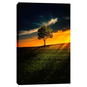 'Alone In Peace' Canvas Wall Art