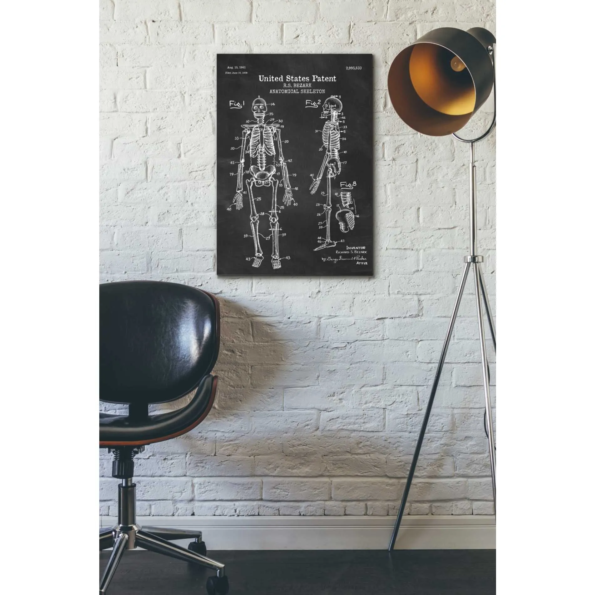 'Anatomical Skeleton Blueprint Patent Chalkboard' Canvas Wall Art