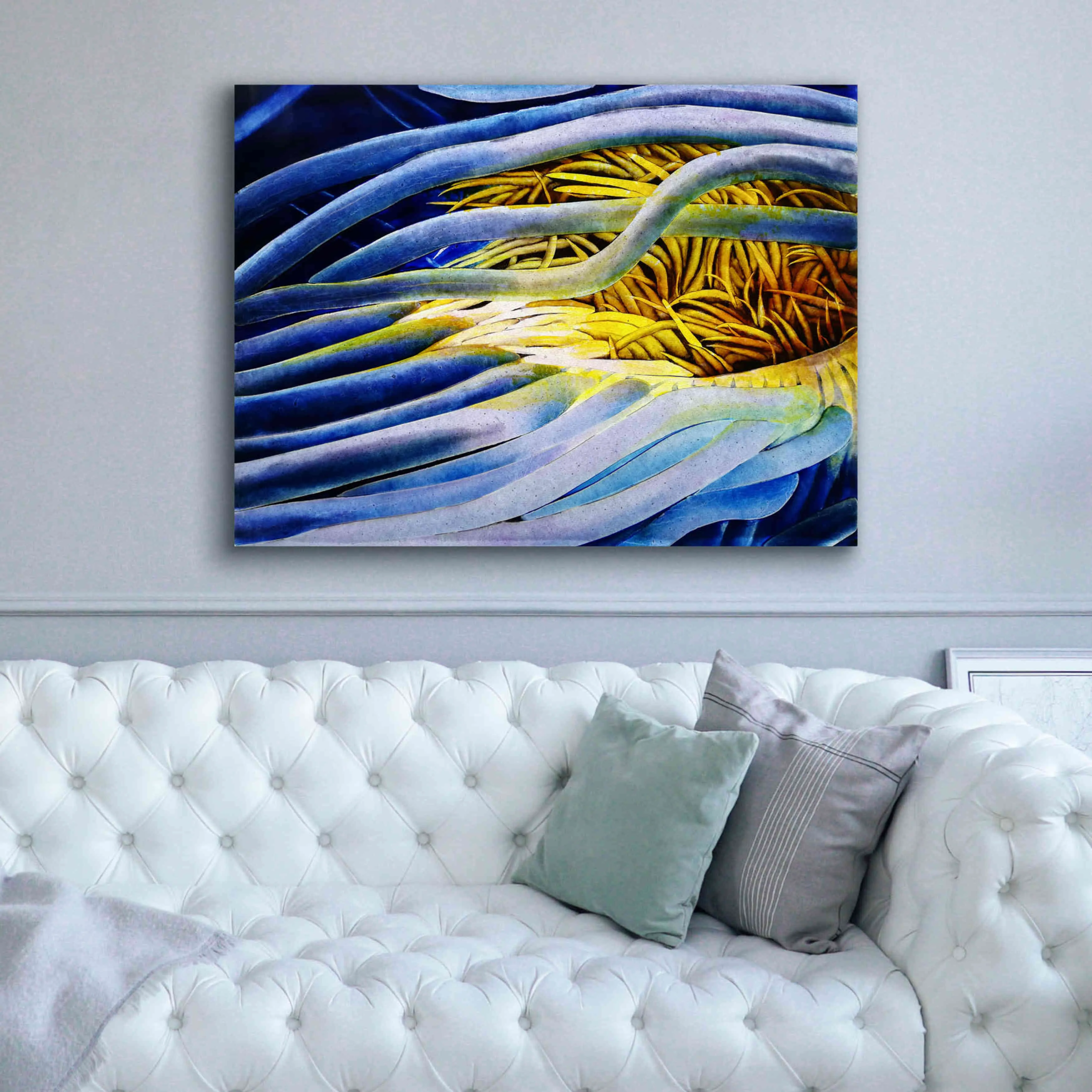 'Anemone Cerianthid' by Rita Shimelfarb, Giclee Canvas Wall Art