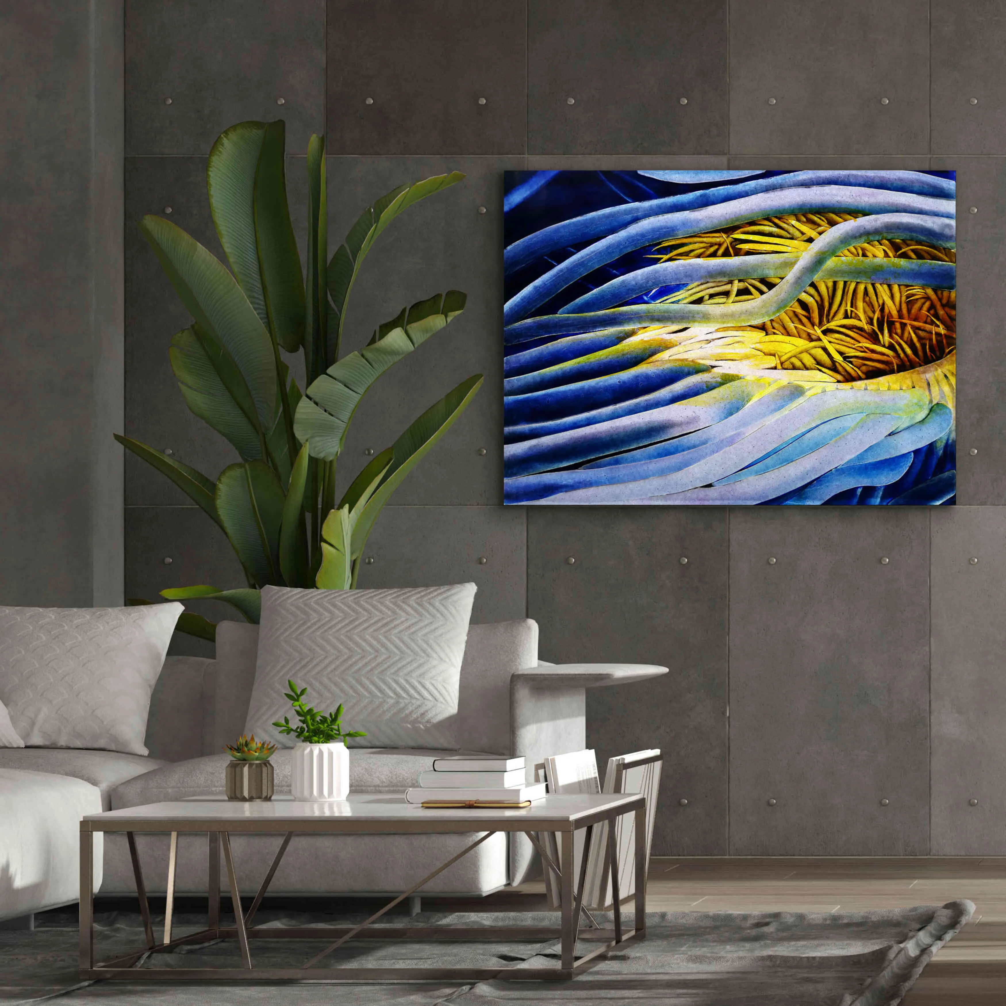 'Anemone Cerianthid' by Rita Shimelfarb, Giclee Canvas Wall Art