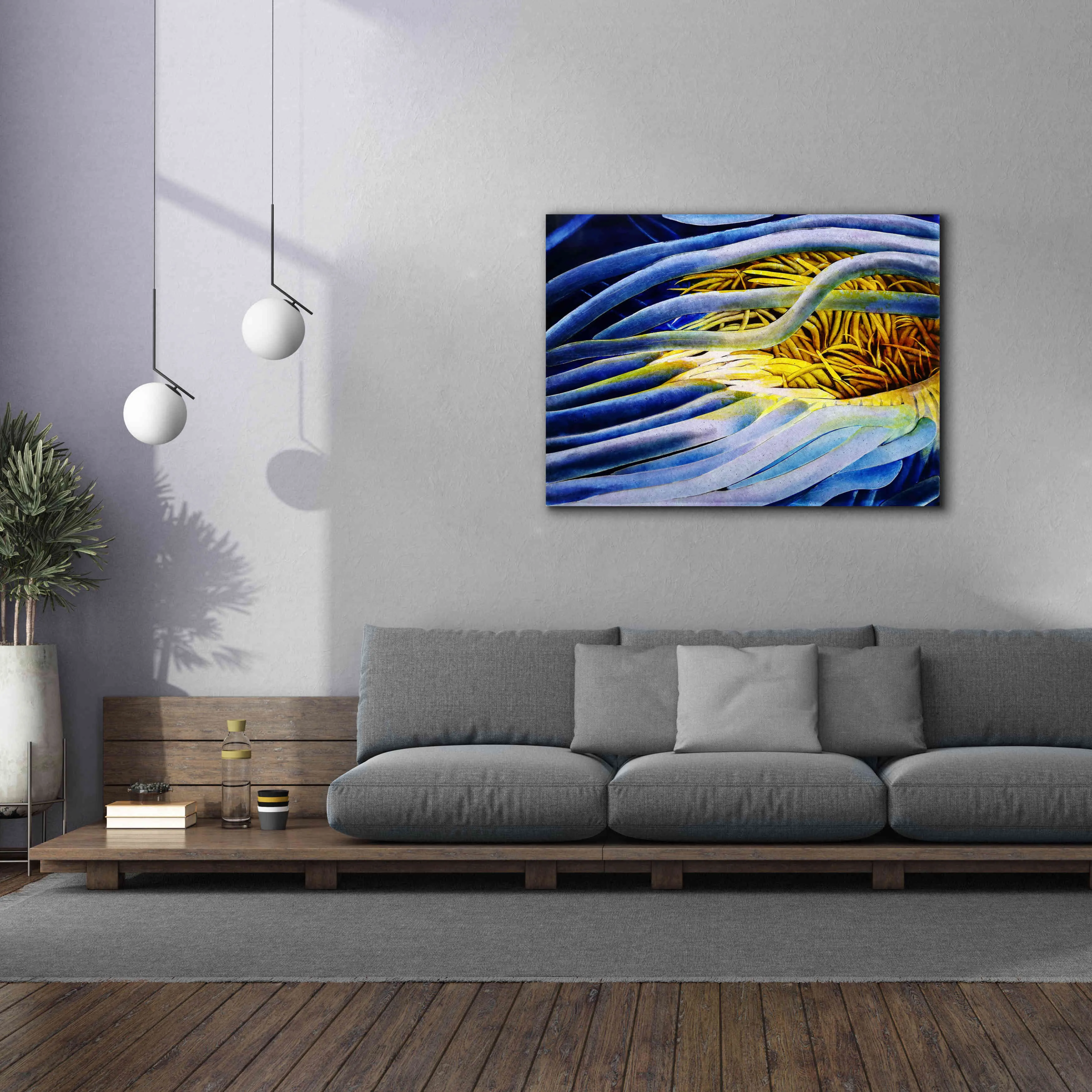 'Anemone Cerianthid' by Rita Shimelfarb, Giclee Canvas Wall Art