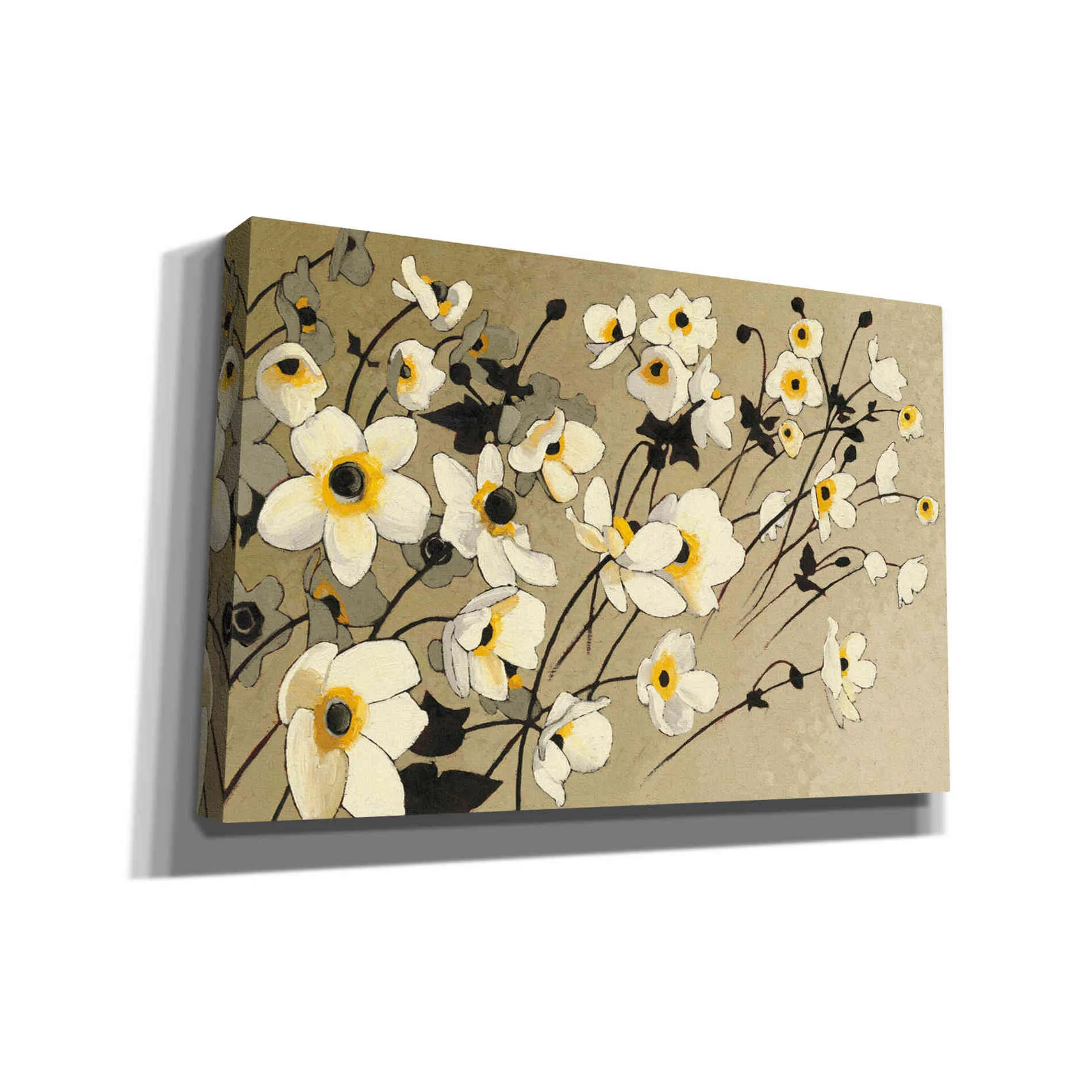 'Anemones Japonaises Blancs' by Shirley Novak, Canvas Wall Art