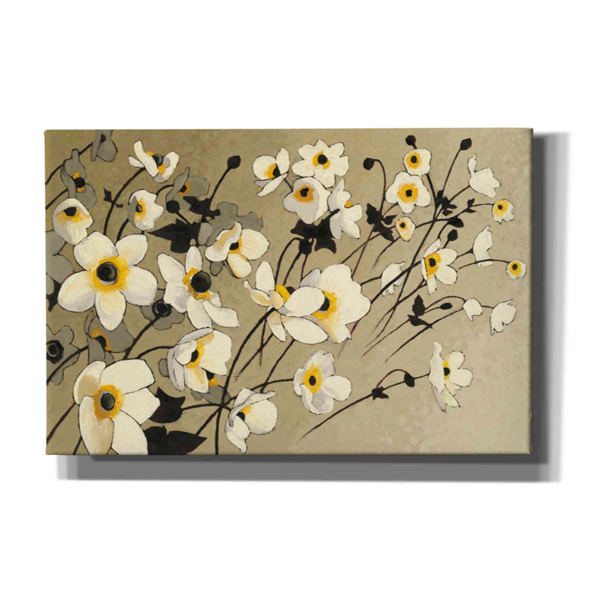 'Anemones Japonaises Blancs' by Shirley Novak, Canvas Wall Art