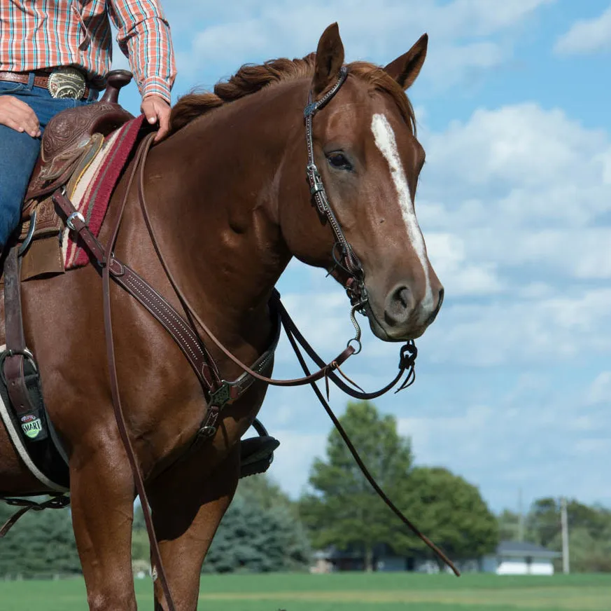 Austin Breast Collar