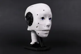 EZ-InMoov Robot Head