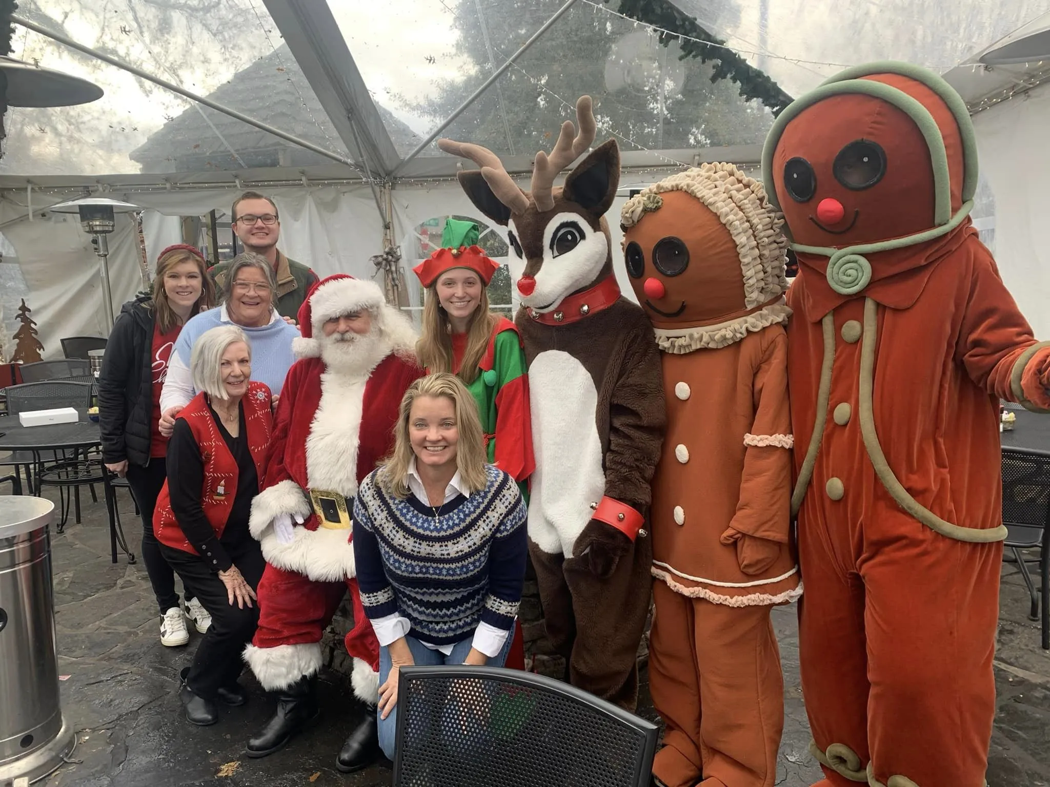 Gingerbread Costume