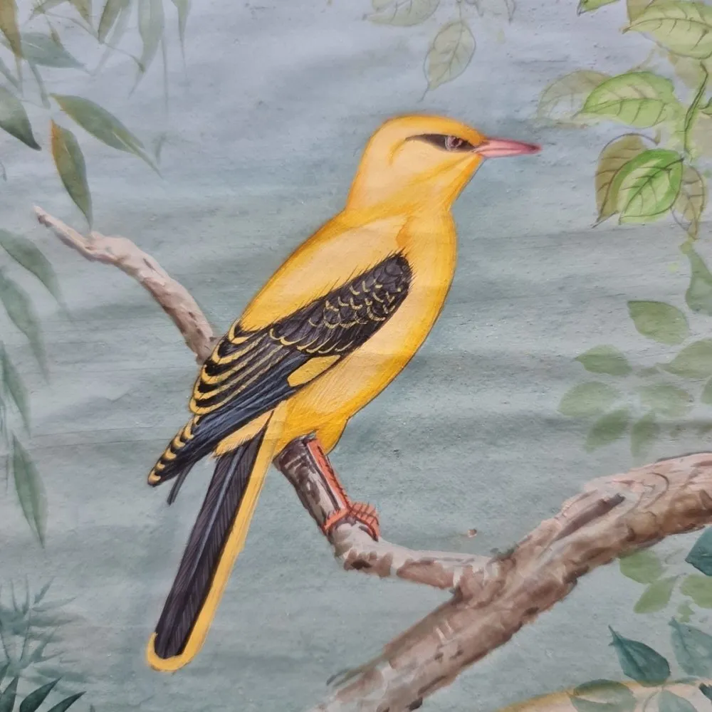 Indian Miniature Painting of a Yellow Bird