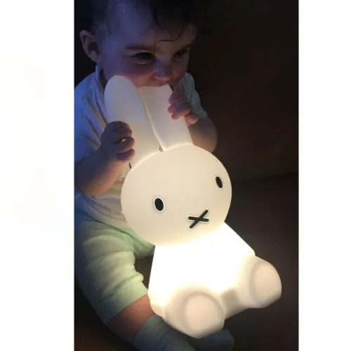 Miffy First Light by Mr Maria