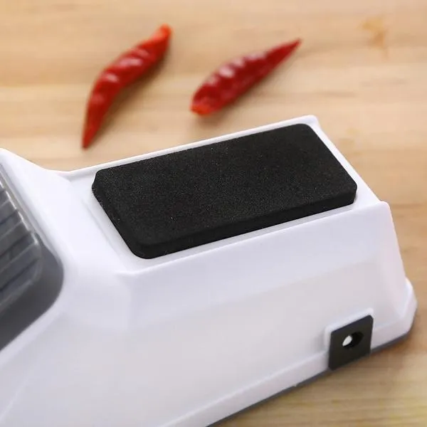 Professional Electric Knife Sharpener