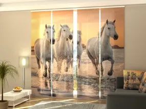 Set of 4 Panel White Horses galloping at Sunset in France